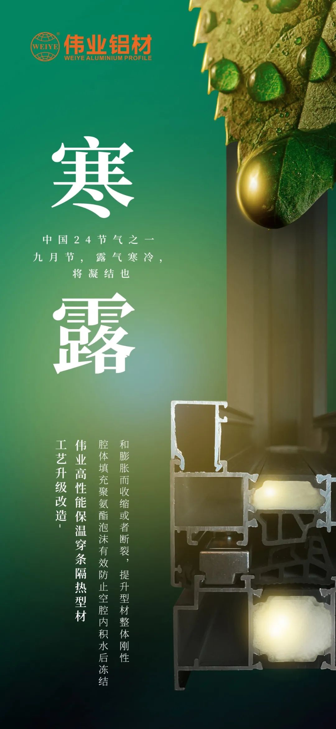 #寒露 九月节，，，，，，，露气严寒，，，，，，，将凝聚也 时光入深秋，，，，，，，岁月便深情